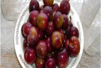 Чавга-интоорын эрлийз 1