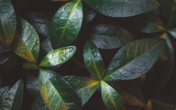 Обратная связь